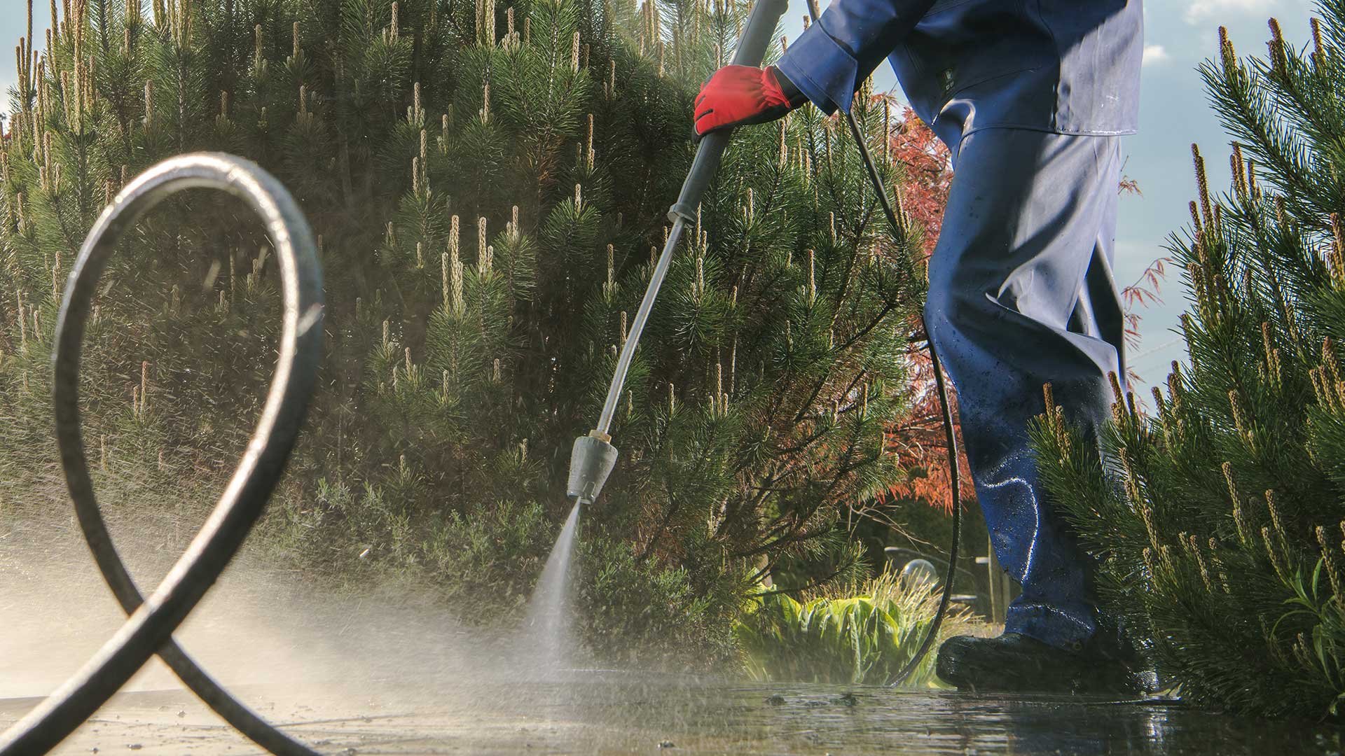 Two Students Power Washing and Soft Washing Banner Image